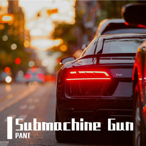 91精品久久久久久久久不卡蜜芽
