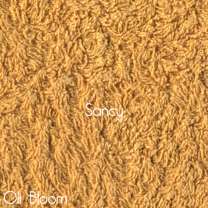 91精品久久久久久久久不卡蜜芽
